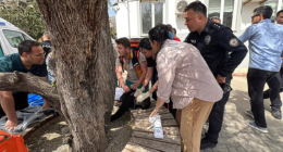 Nine dead, 13 wounded in second Turkish mass shooting in two days