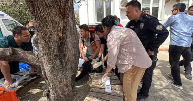 Nine dead, 13 wounded in second Turkish mass shooting in two days