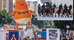'No Kings' instigators threw bottles at police horses in chaotic Los Angeles protest