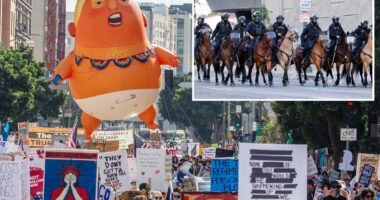 'No Kings' instigators threw bottles at police horses in chaotic Los Angeles protest