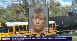 'Not gonna stop for no train': Bus driver charged after train clips bus full of kids when she ignored railroad crossing signal, cops say