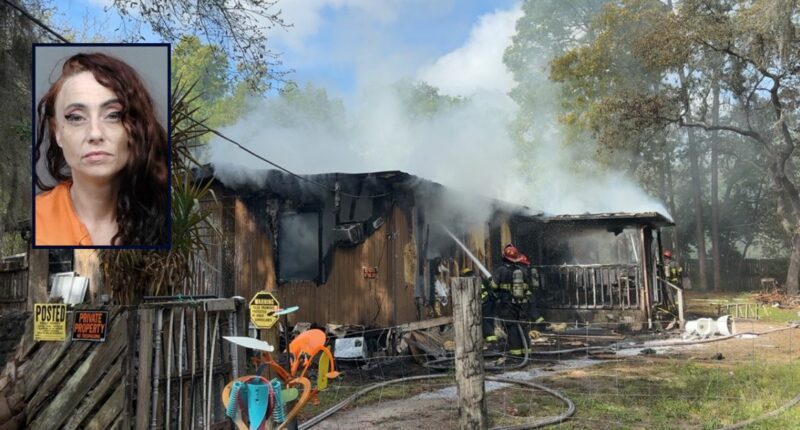 'Now we don't have s—': Woman who moved back in with husband to 'rekindle' marriage torches home, caught with lighter fluid, cops say