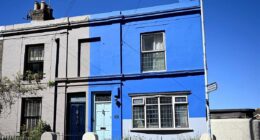 OAP who painted home blue is ordered to repaint after ONE complaint