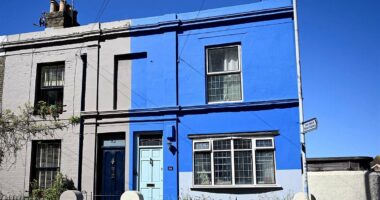 OAP who painted home blue is ordered to repaint after ONE complaint