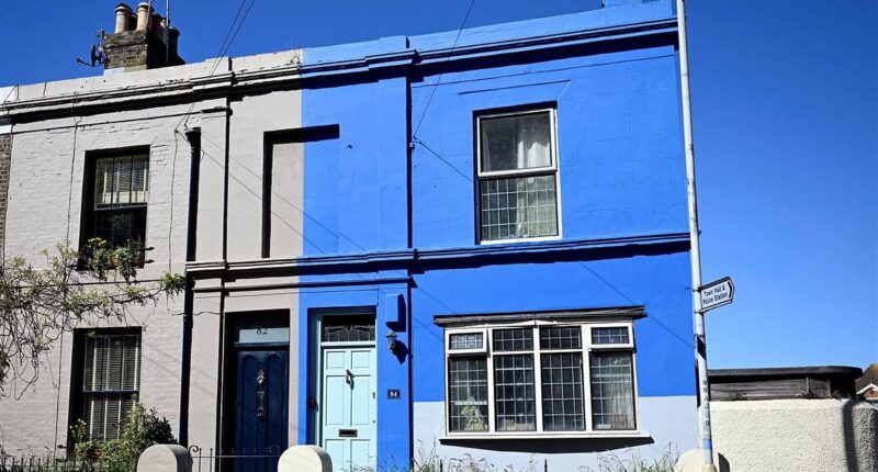 OAP who painted home blue is ordered to repaint after ONE complaint