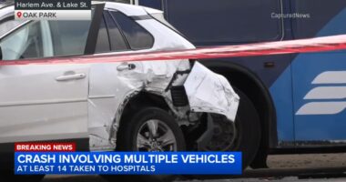 Oak Park news today: Driver fatally shoots self after car crash into Pace bus, other vehicles at Harlem Avenue and Lake Street