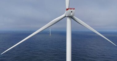 Offshore wind farms take shape along Rhode Island's coast, even as Trump wants to stop them