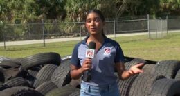 Old tires, big problem: Brevard County removes thousands of tires to fight mosquitoes
