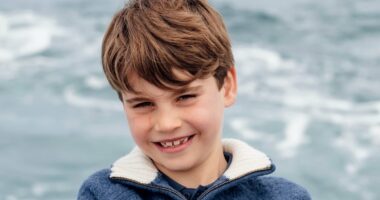 One is a chip off the old block! Prince Louis proves he's Prince William's 'mini-me' in photos of them at the same age