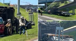 One million bees saw Tennessee highway after truck crash