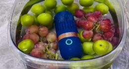 One of the cleanest countries in the world: South Korea's impressive home cleaning gadgets revealed - including smart shoe cabinet that eradicates odours