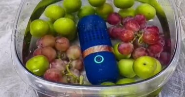 One of the cleanest countries in the world: South Korea's impressive home cleaning gadgets revealed - including smart shoe cabinet that eradicates odours