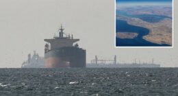 Only a handful of ships are trickling through the Strait of Hormuz