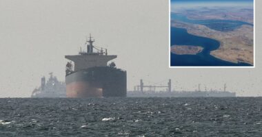 Only a handful of ships are trickling through the Strait of Hormuz