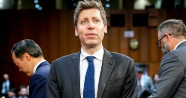 OpenAI CEO Sam Altman's home targeted in Molotov cocktail attack; man arrested: police