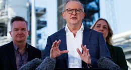 Opinion: Anthony Albanese finally got something right