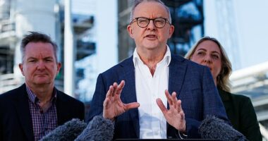 Opinion: Anthony Albanese finally got something right