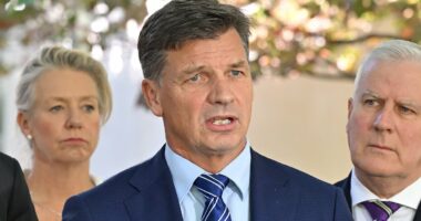 Opposition leader Angus Taylor slams Albo's address to the nation