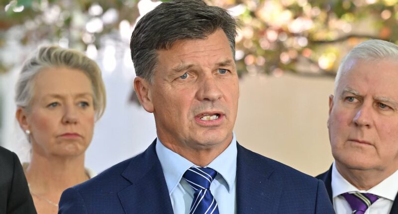 Opposition leader Angus Taylor slams Albo's address to the nation