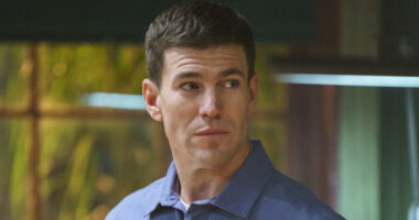 Origins Season 2 Uses A Subtle Detail To Hint At Gibbs And Diane's Future