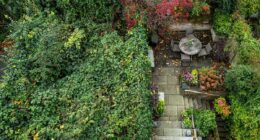 Owner of £4m Chelsea home ordered to remove rat-infested 'jungle'