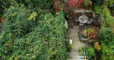 Owner of £4m Chelsea home ordered to remove rat-infested 'jungle'