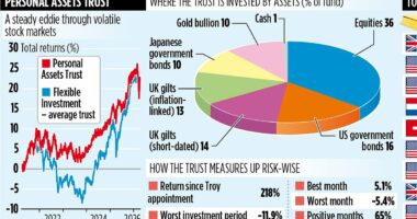 PERSONAL ASSETS TRUST is a safe port in a storm