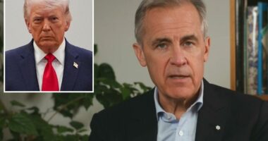 PM Carney says Canada's US ties have become a weaknessÂ 