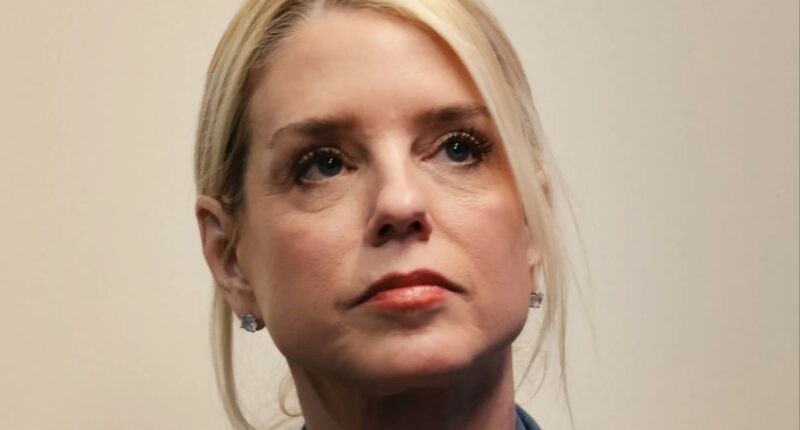 Pam Bondi speaks out for the first time since getting 'you're fired' treatment from Trump