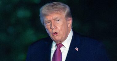 'Panicked' top Republicans fear 3 key threats to GOP midterm chances