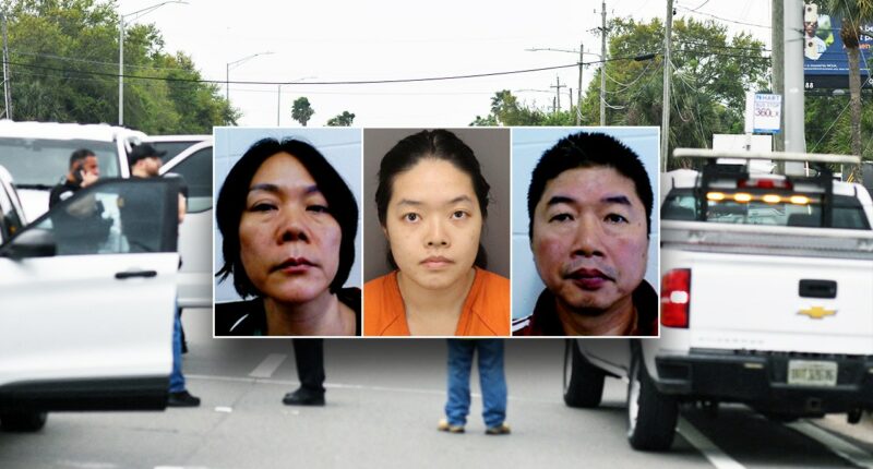 Parents of MacDill bomb suspects are illegal immigrants, DHS warns of birthright citizenship dangers