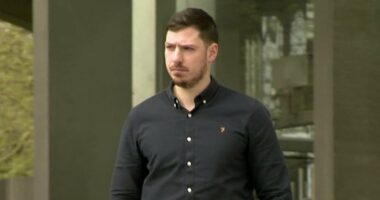 Passenger begs forgiveness after 'sexually assaulting air stewardess'