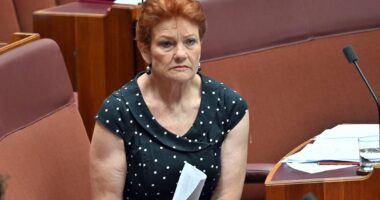 Pauline Hanson demands big change to the NDIS