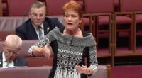 Pauline Hanson unveils bold solution to fix Australia's big problem