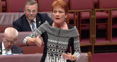 Pauline Hanson unveils bold solution to fix Australia's big problem