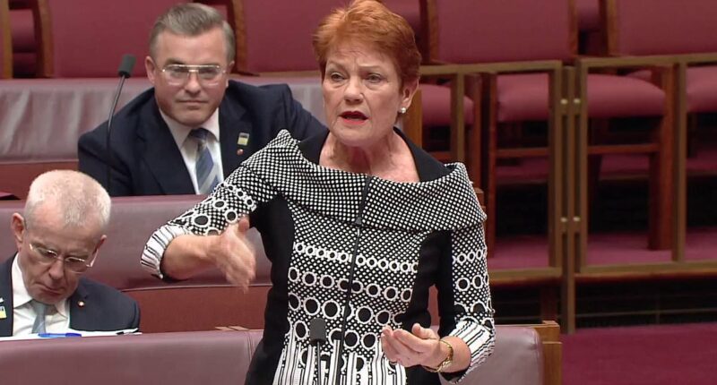 Pauline Hanson unveils bold solution to fix Australia's big problem