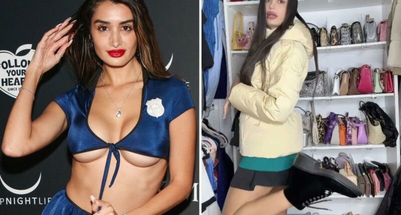 Penthouse Pet Adva Lavie was caught with $200K, gold and a gun