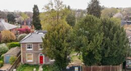 Plans to cut down protected yew trees at £1.4m home sparks fury