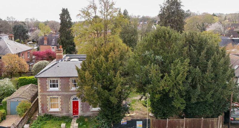 Plans to cut down protected yew trees at £1.4m home sparks fury