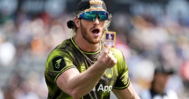 Celebrity Net Worth logo