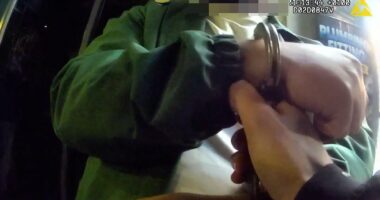 Police deploy drones and e-bikes in crackdown on London's phone thefts