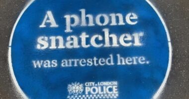 Police paint 'blue plaques' on pavements in phone snatcher warning
