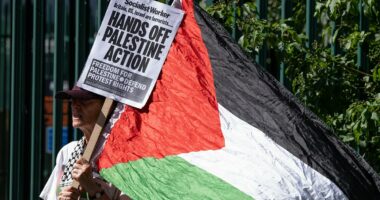 Police sergeant feared her spine 'shattered' after Palestine Action activist struck her back with a sledgehammer, trial hears