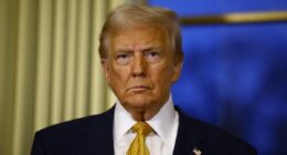 Poll reveals the issues that decided the 2024 election