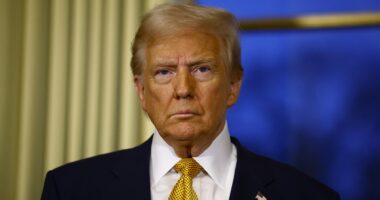 Poll reveals the issues that decided the 2024 election