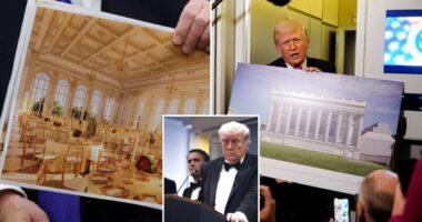 President Trump and his allies insist Saturday's WHCD shooting vindicates his push for Ã¼ber-secure White House ballroom