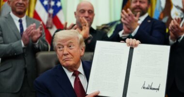 President Trump orders faster review of psychedelic drugs for mental health treatment