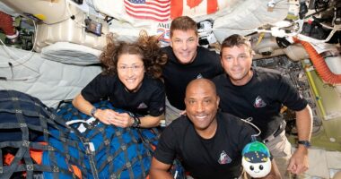 President Trump to welcome Artemis II crew at the White House