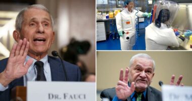 Pressure on DOJ to prosecute Anthony Fauci grows after adviser indictedâwith days left to charge COVID 'lies'