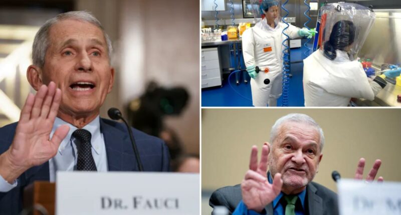 Pressure on DOJ to prosecute Anthony Fauci grows after adviser indictedâwith days left to charge COVID 'lies'